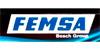 Femsa 1210701 - Brazo de limpiaparabrisas Austin