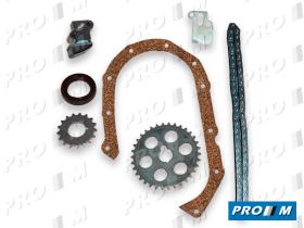 Renault Clásico R125041 - Kit distribución Renault 4-5-6-8-12-18-Fuego hembra s/cuello